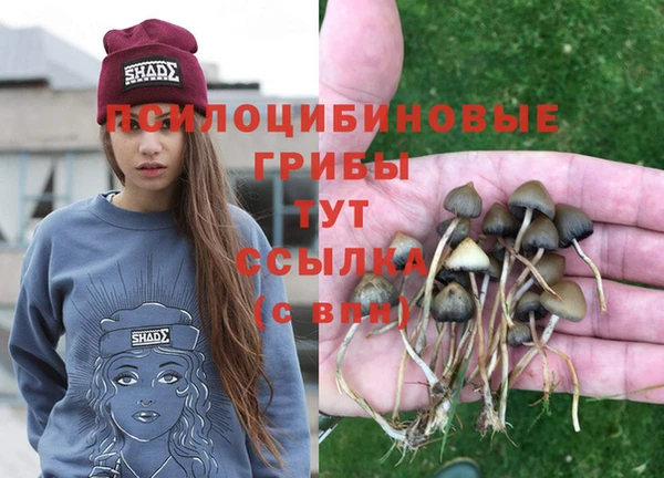 ECSTASY Алексеевка