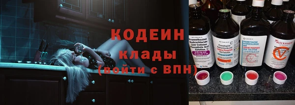 прущие грибы Покровск