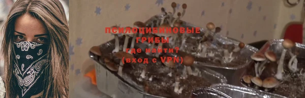 ECSTASY Алексеевка