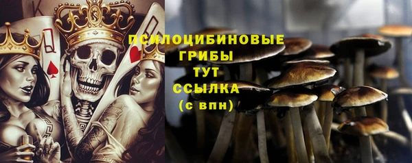 кокаин колумбия Алзамай