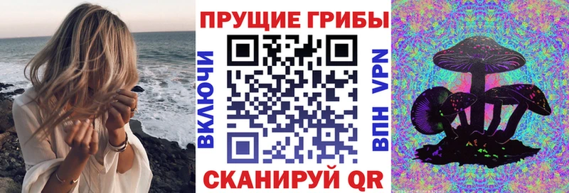 Псилоцибиновые грибы Psilocybine cubensis  дарнет шоп  Приморск 