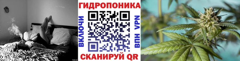 Шишки марихуана OG Kush Приморск